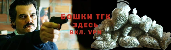 хмурый Гусь-Хрустальный
